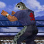 Steam avatar
