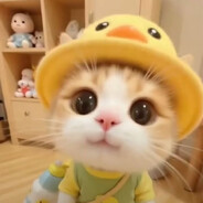 Compl1 - steam id 76561198837805184