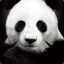 El Panda Acosador :3