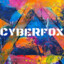 CyberFox5943
