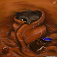A box of owls avatar
