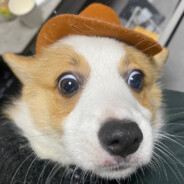 江西宜春第一变态人