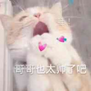 远近渔的老公$#csgo周年