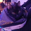El Minou