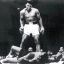 The Don, Muhammad Ali