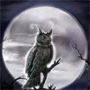 Owlinthenight