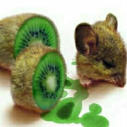 Damikiwi