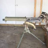 RaccoonSniper