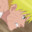 sanimo