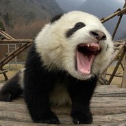 小熊猫（垃圾结局版