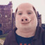 Porcul Ion