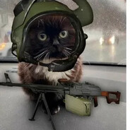 Captain Stepan