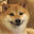 Mr.Doge
