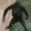 Kwisp