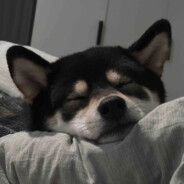 如果头比水泥地硬，跳