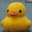 TheDuck