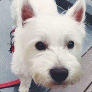 我有一把激光枪