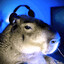 Donkles