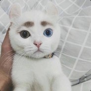 Big Avatar
