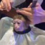 lilmonkey