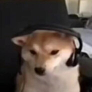 迎着阳光盛大逃亡