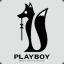 playboy666