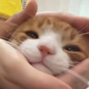 金镜设的好远..我能看看你的银镜设多远吗..？