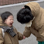 骑着母猪去兜风