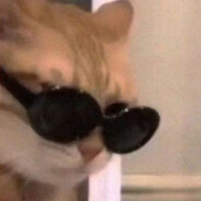 优雅帅气芊某人