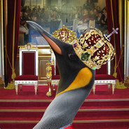 Kinguin Jee
