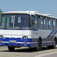 Andrzej autobusowaty