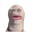 jami