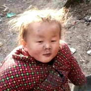 山前山后各有哀愁 有风无风都不自由