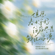 慢慢学做一个笨蛋