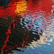 大猛子的快乐时光