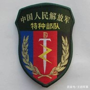 PLA-南国利剑