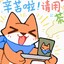 星光小太阳