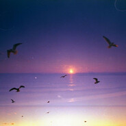 MEGA BABOON's avatar