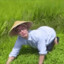 RiceFields21