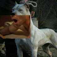 ПродаюФекалии