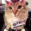 FBI Cat