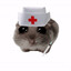 Medic Hamster