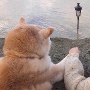 想和你一起做爱心甜点