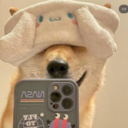 梅川酷子❤funny