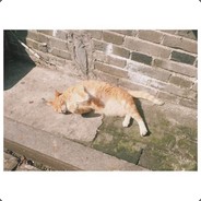 我说鸡蛋你说吆