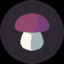 гриб_mushroom