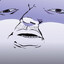 Teddie avatar