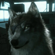 boss dog
