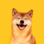 Pesdoge