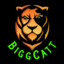 BiggCatt-LIVE